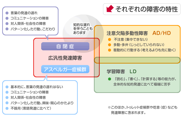 大人の発達障害(ASD)の治療と診断